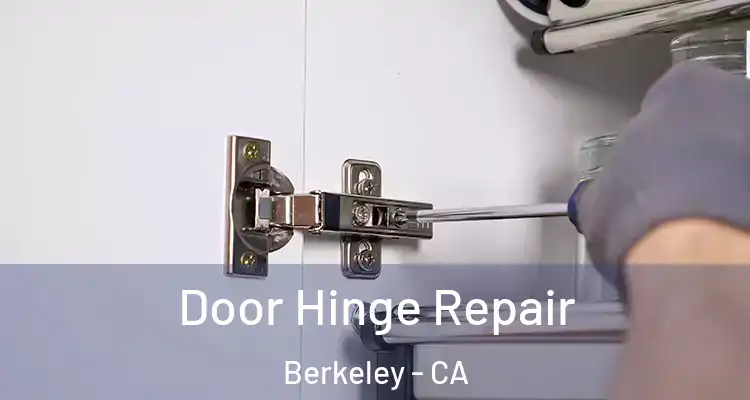  Door Hinge Repair Berkeley - CA