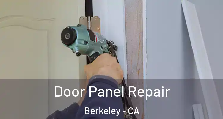  Door Panel Repair Berkeley - CA