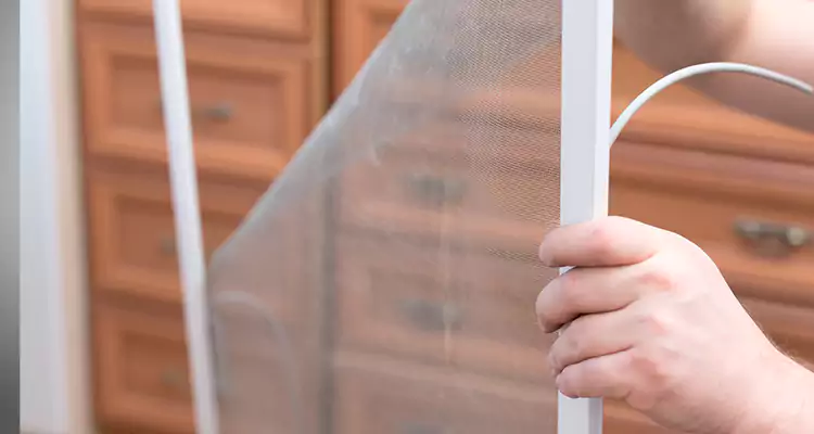 Privacy Mesh Screen Door Installation in Berkeley, CA