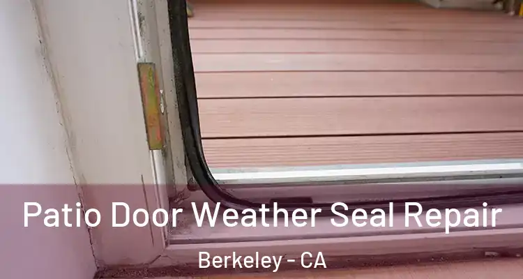  Patio Door Weather Seal Repair Berkeley - CA