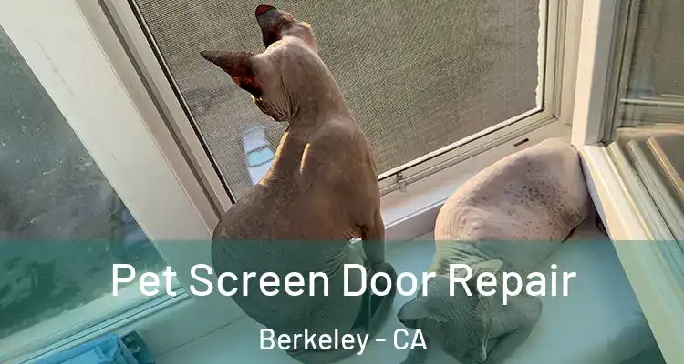  Pet Screen Door Repair Berkeley - CA
