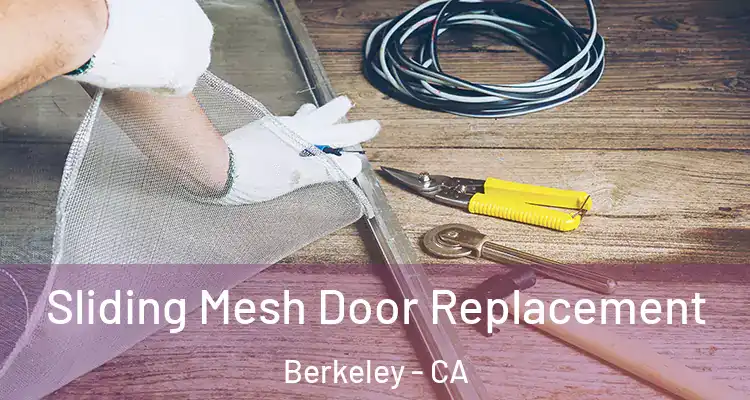  Sliding Mesh Door Replacement Berkeley - CA